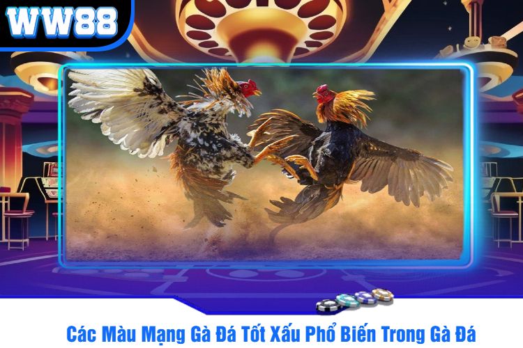 Các Màu Mạng Gà Đá Tốt Xấu Phổ Biến Trong Gà Đá