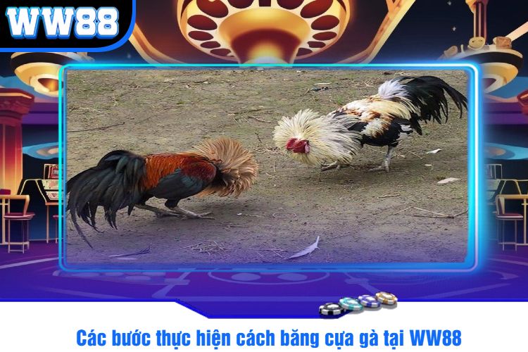 Các bước thực hiện cách băng cựa gà tại WW88