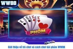 Giới thiệu về trò chơi và cách chơi bài phỏm WW88