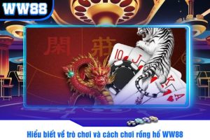 Hiểu biết về trò chơi và cách chơi rồng hổ WW88