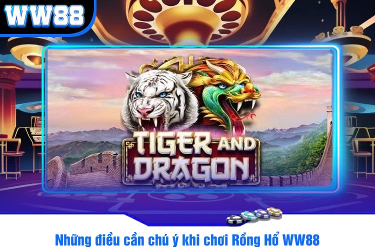 Những điều cần chú ý khi chơi Rồng Hổ WW88