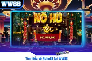 Tìm hiểu về Nohu88 tại WW88