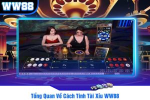 Tổng Quan Về Cách Tính Tài Xỉu WW88