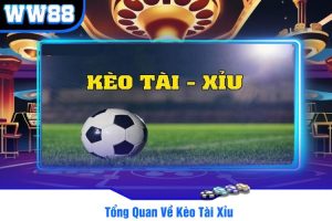 Tổng Quan Về Kèo Tài Xỉu