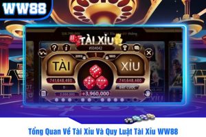 Tổng Quan Về Tài Xỉu Và Quy Luật Tài Xỉu WW88